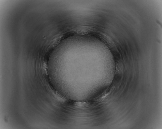 X0000091640575200709131433