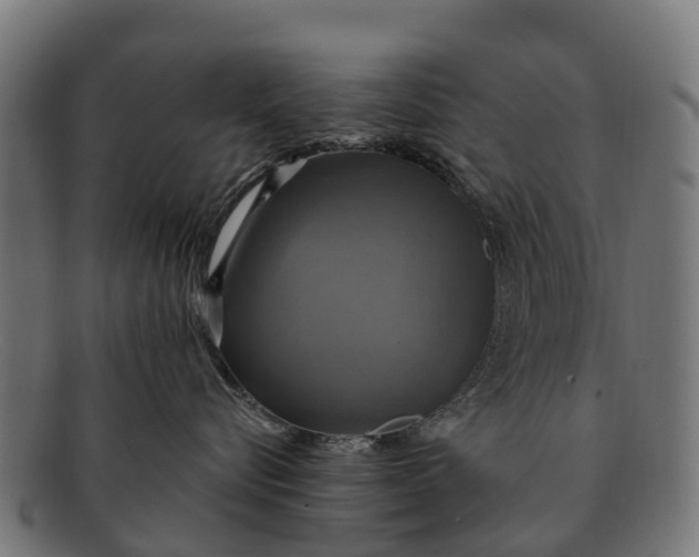 X0000091640576200709131433