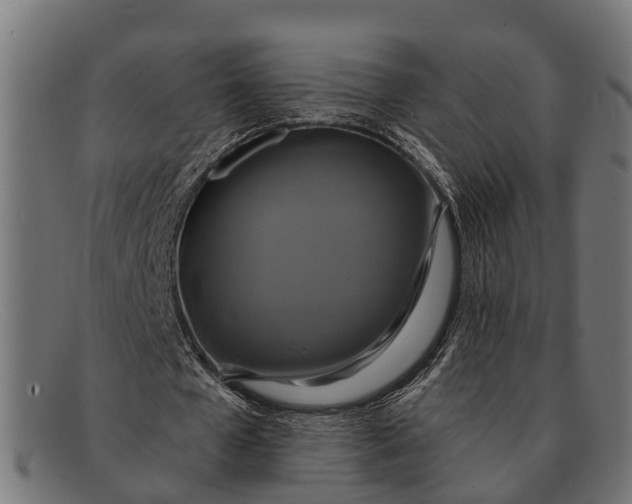 X0000091640577200709131433