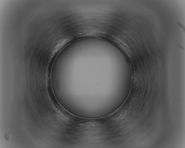 X0000091640578200709131433