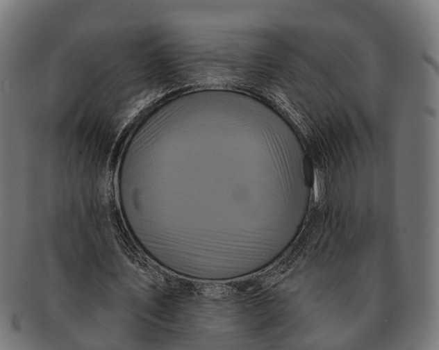 X0000091640579200709131433