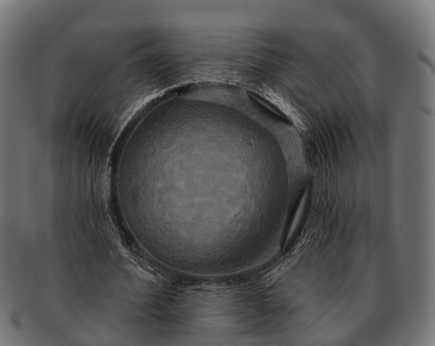 X0000091640580200709131433
