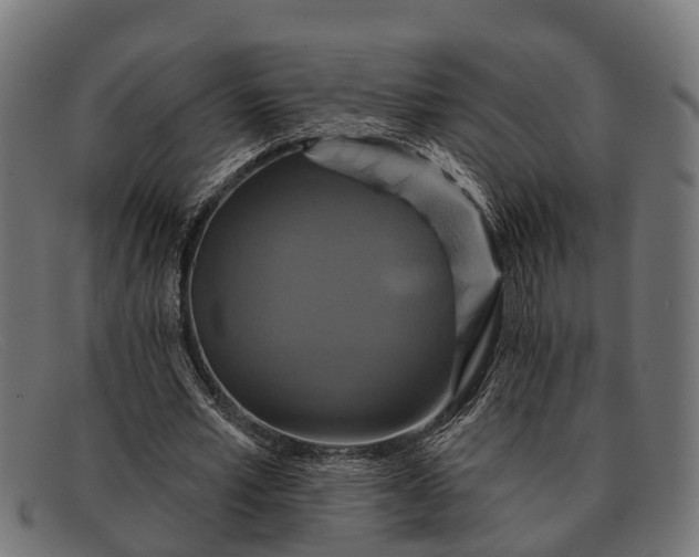 X0000091640581200709131433