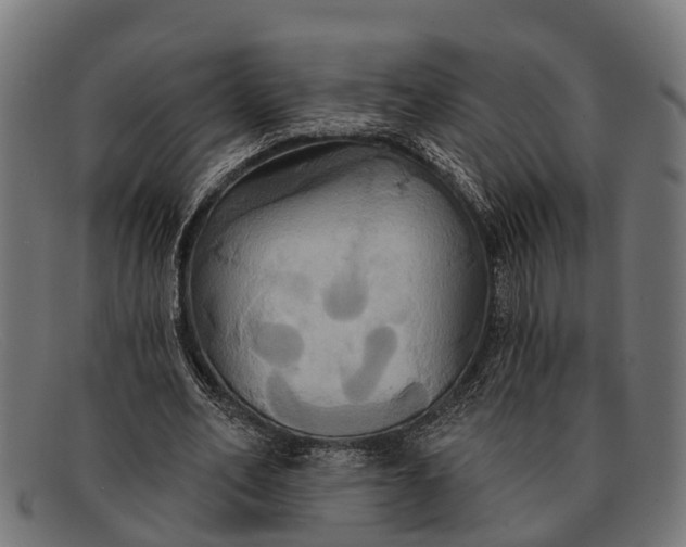 X0000091640582200709131433