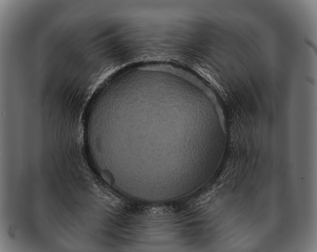 X0000091640584200709131433