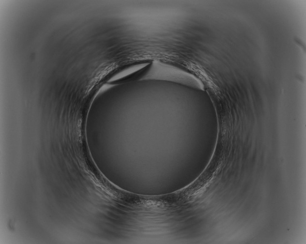 X0000091640585200709131433