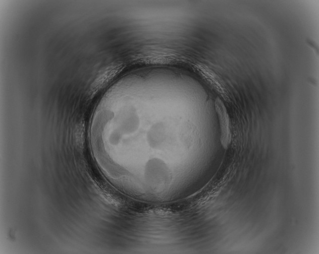 X0000091640586200709131433