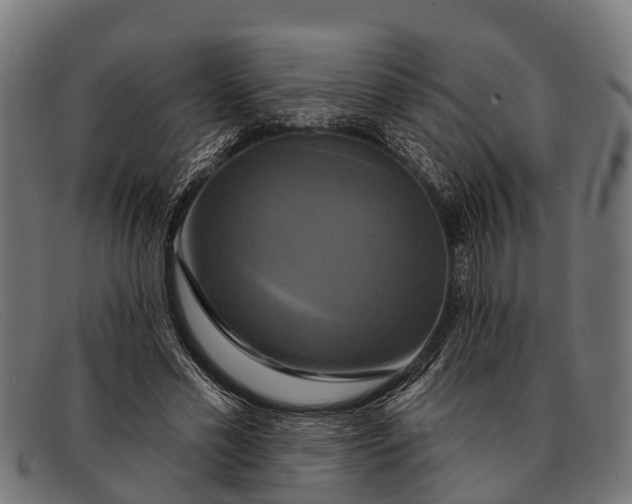 X0000091640589200709131433