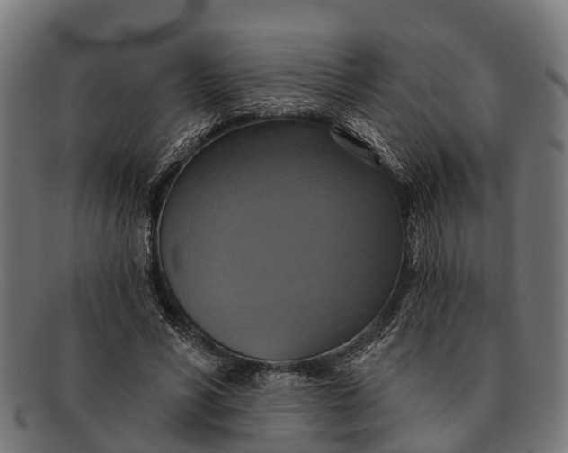 X0000091640590200709131433