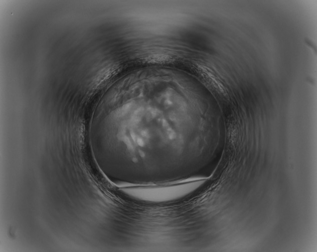 X0000091640591200709131433