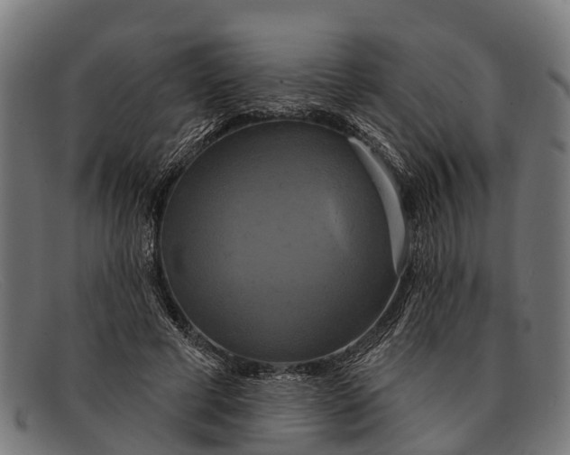 X0000091640593200709131432