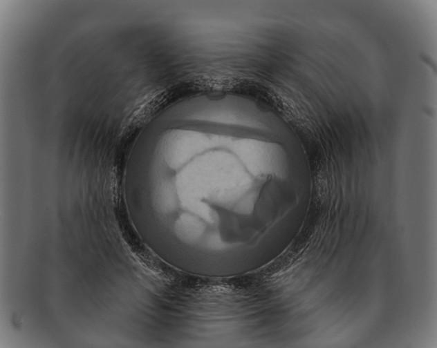 X0000091640594200709131432