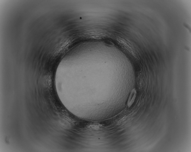 X0000091640595200709131432