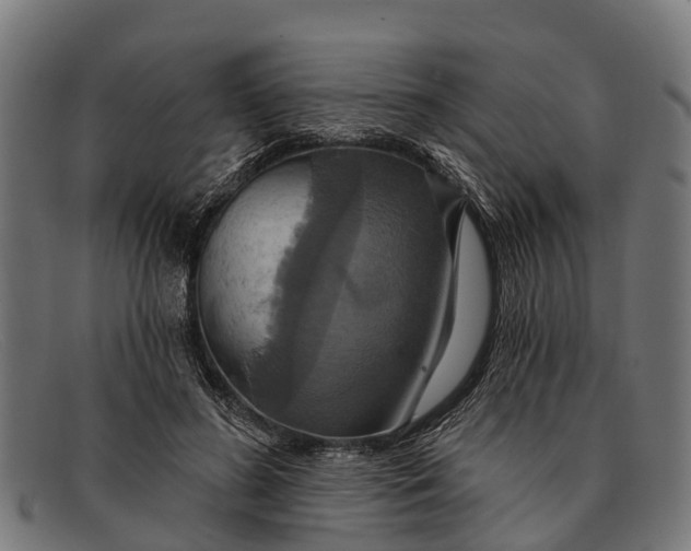 X0000091640596200709131432