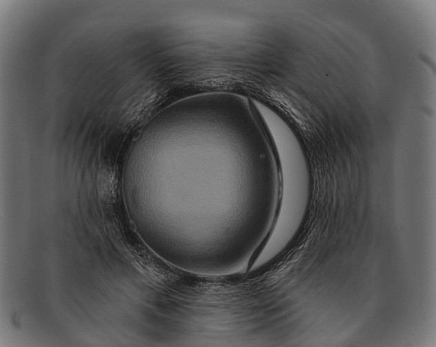 X0000091640597200709131432