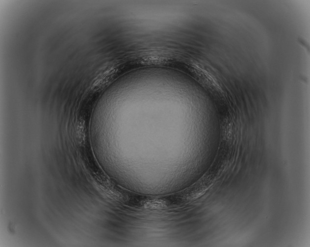X0000091640599200709131432
