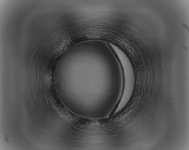 X0000091640600200709131432