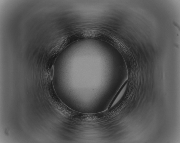 X0000091640601200709131432