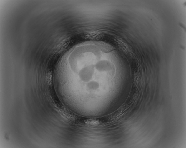 X0000091640602200709131432