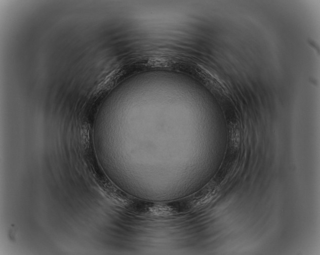 X0000091640603200709131432