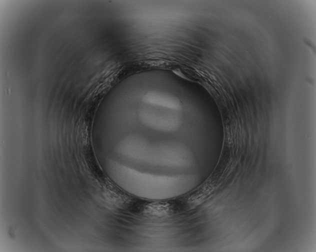 X0000091640606200709131432