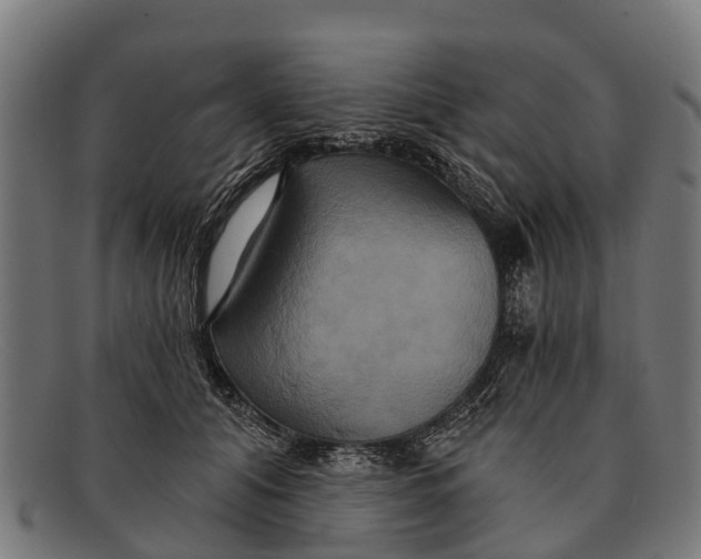 X0000091640608200709131432