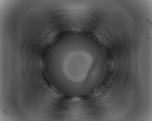 X0000091640609200709131432