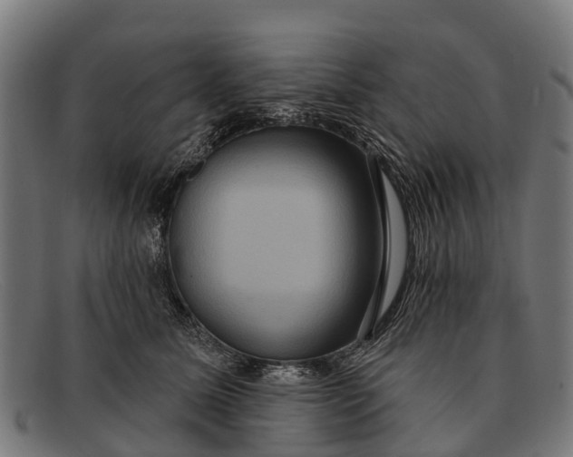 X0000091640611200709131432