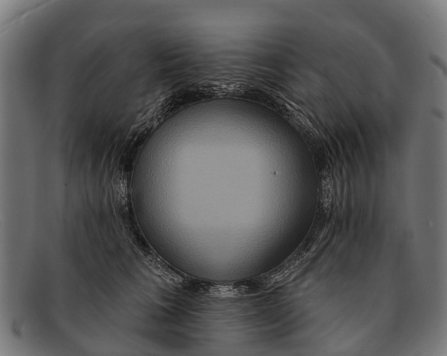 X0000091640613200709131432
