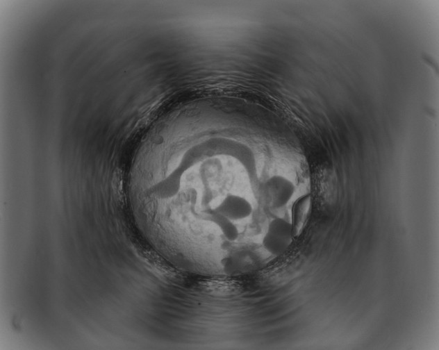 X0000091640615200709131432