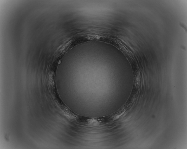X0000091640616200709131432