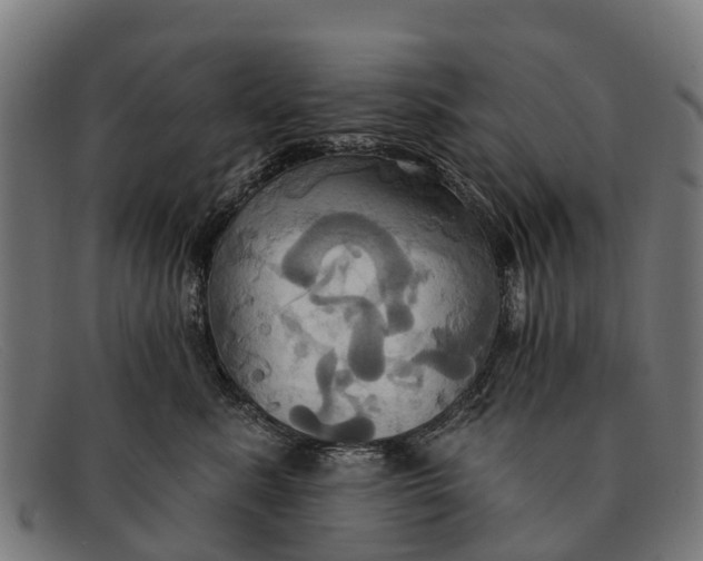 X0000091640619200709131432
