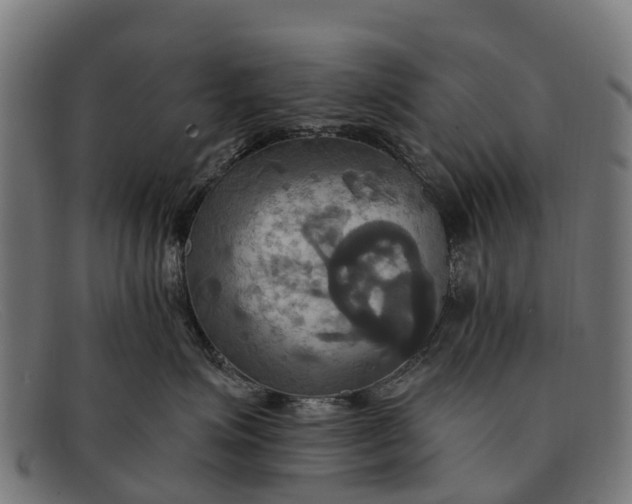 X0000091640623200709131432