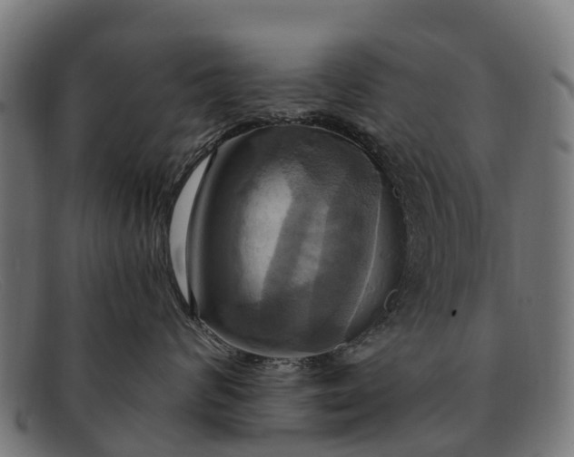 X0000091640624200709131432