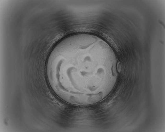 X0000091640625200709131432