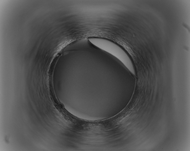 X0000091640626200709131432