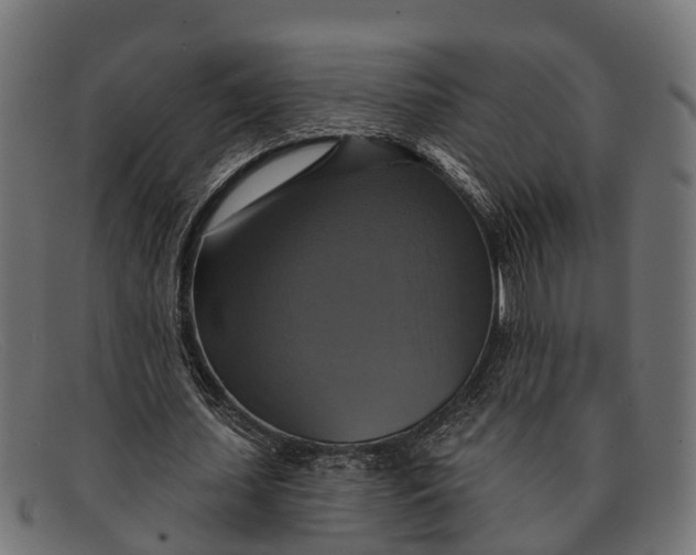 X0000091640627200709131432