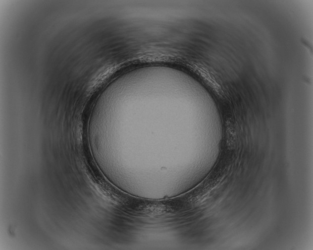 X0000091640631200709131432