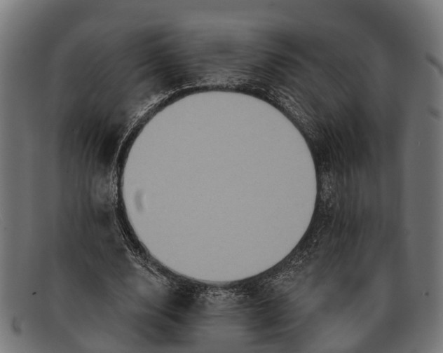 X0000091640632200709131432