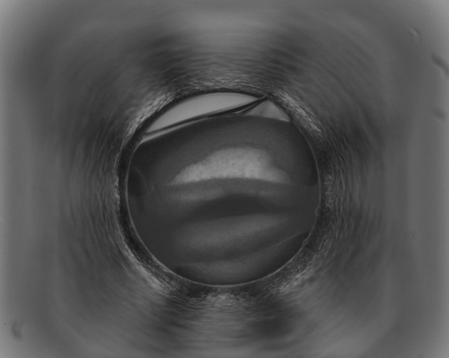 X0000091640634200709131432