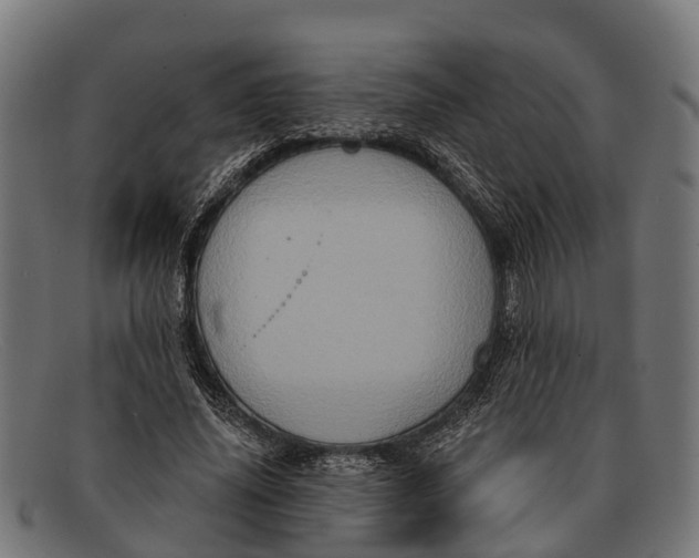 X0000091640636200709131432