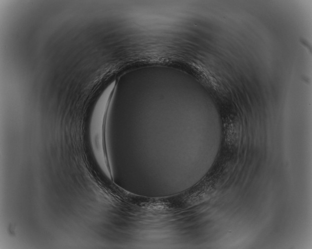 X0000091640643200709131432