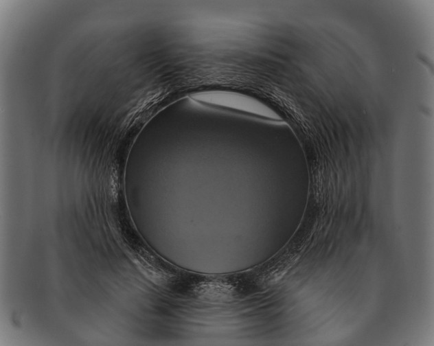 X0000091640644200709131432
