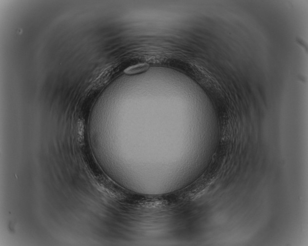 X0000091640646200709131432