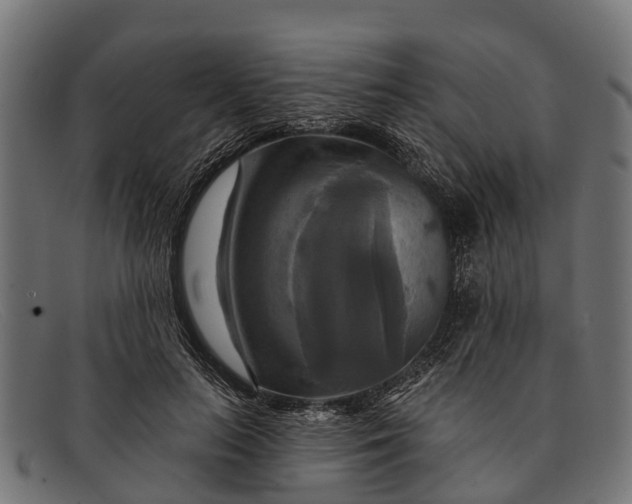 X0000091640647200709131432