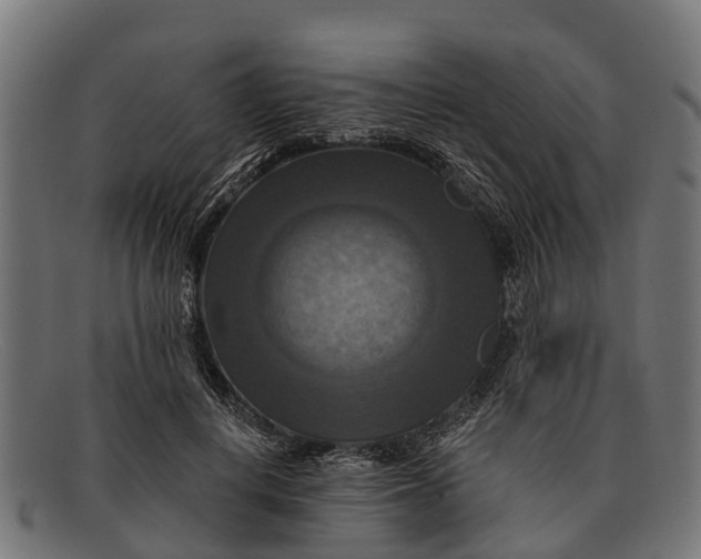 X0000091640648200709131432