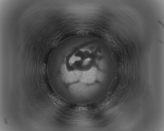 X0000091640649200709131432