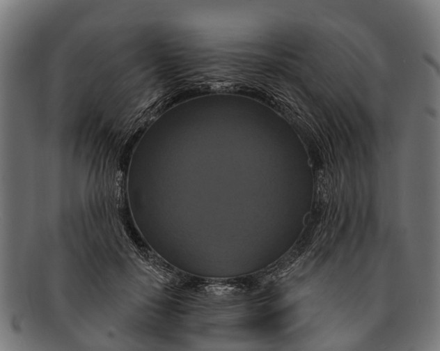 X0000091640650200709131432