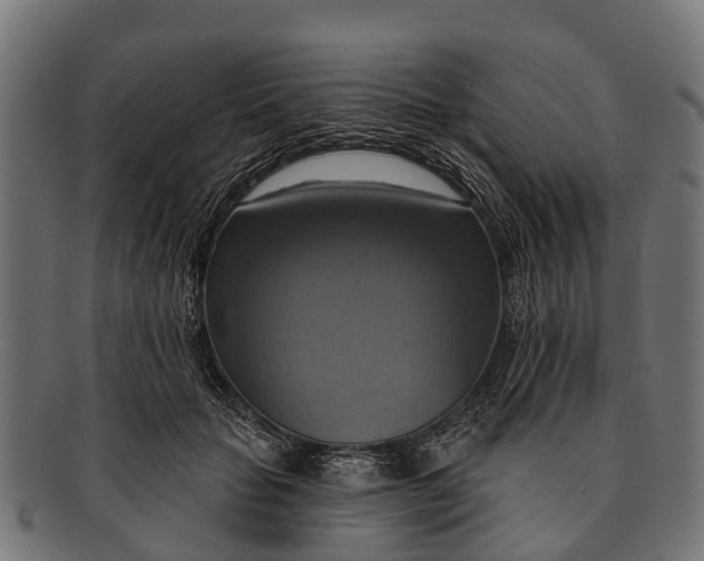 X0000091640653200709131432