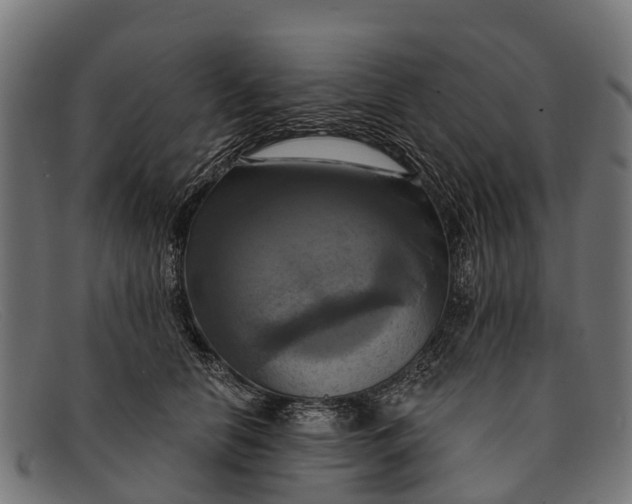 X0000091640658200709131432